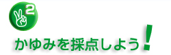 2.����݂��̓_���悤�I